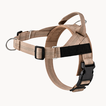 No-pull dog harness in beige
