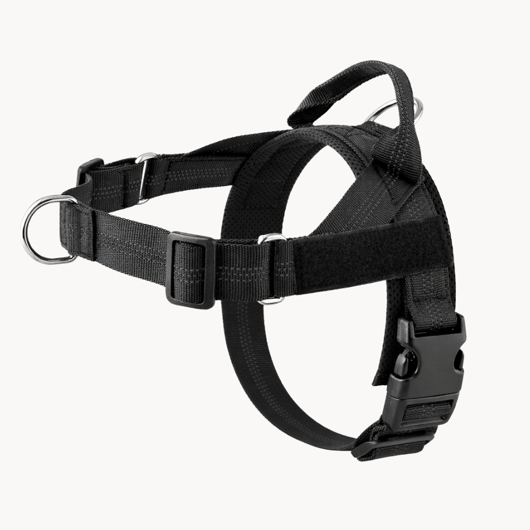 No-pull dog harness in black