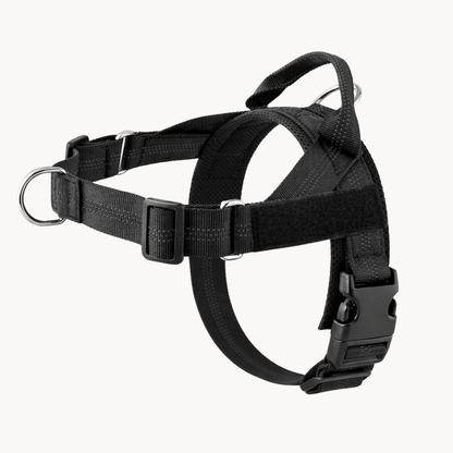 No-pull dog harness in black
