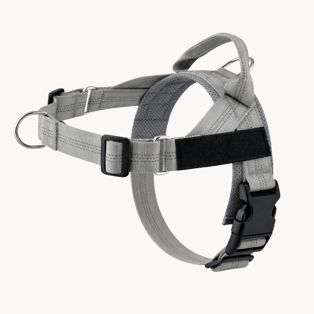 No-pull dog harness in grey