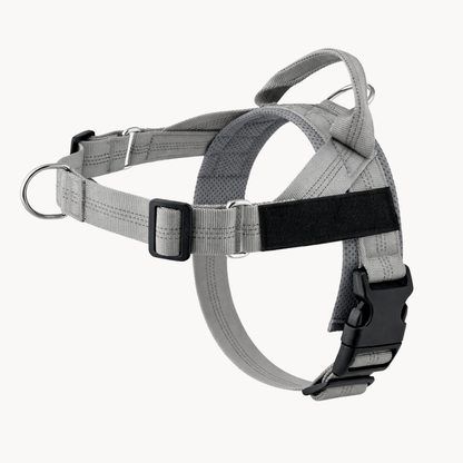 No-pull dog harness in grey