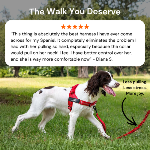 Nerova No-Pull Dog Harness