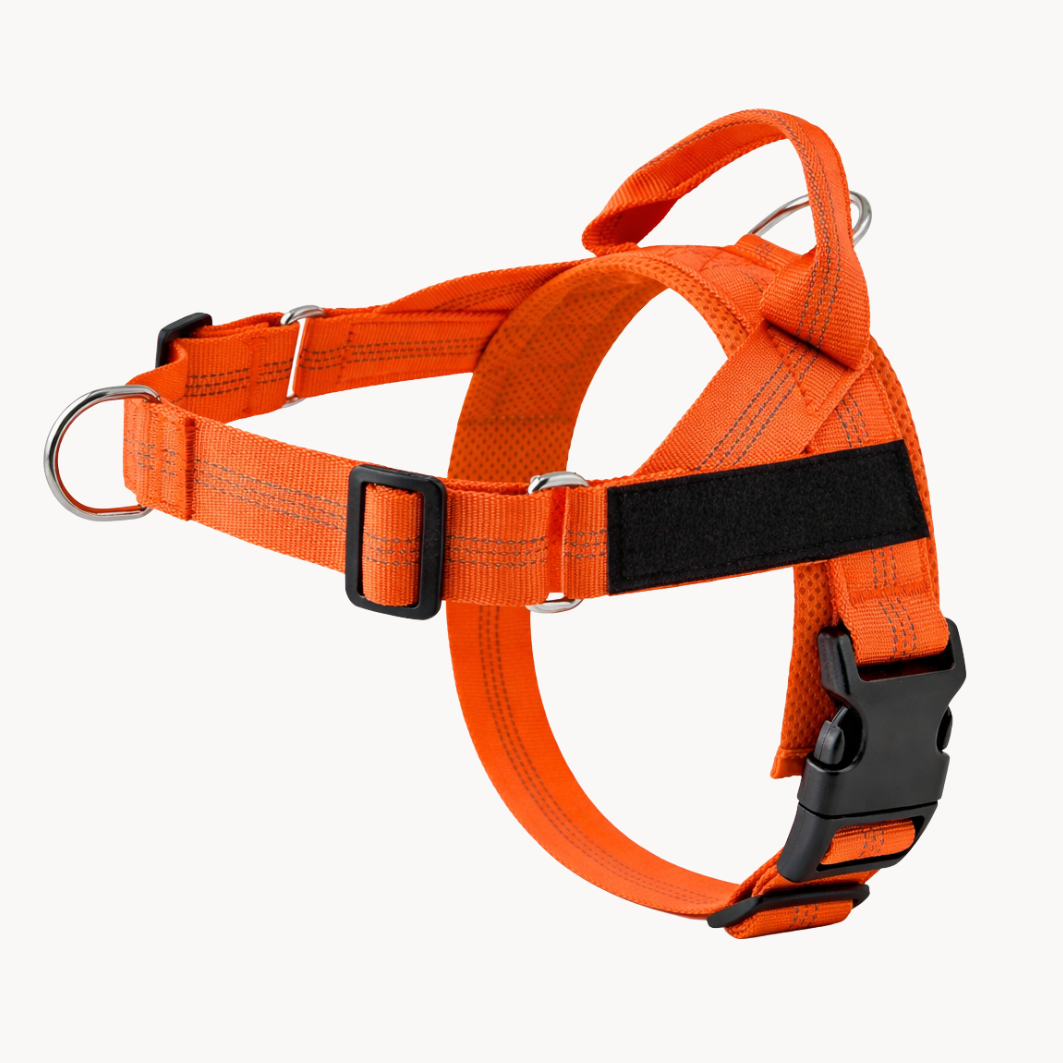 No-pull dog harness in orange