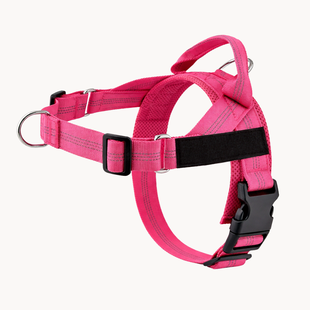 No-pull dog harness in pink
