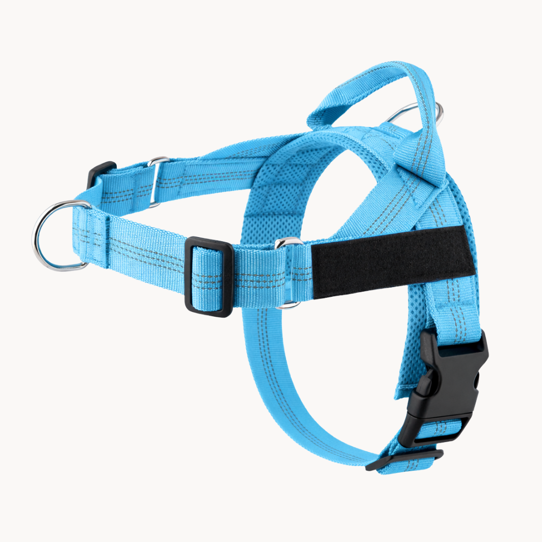 No-pull dog harness in sky blue