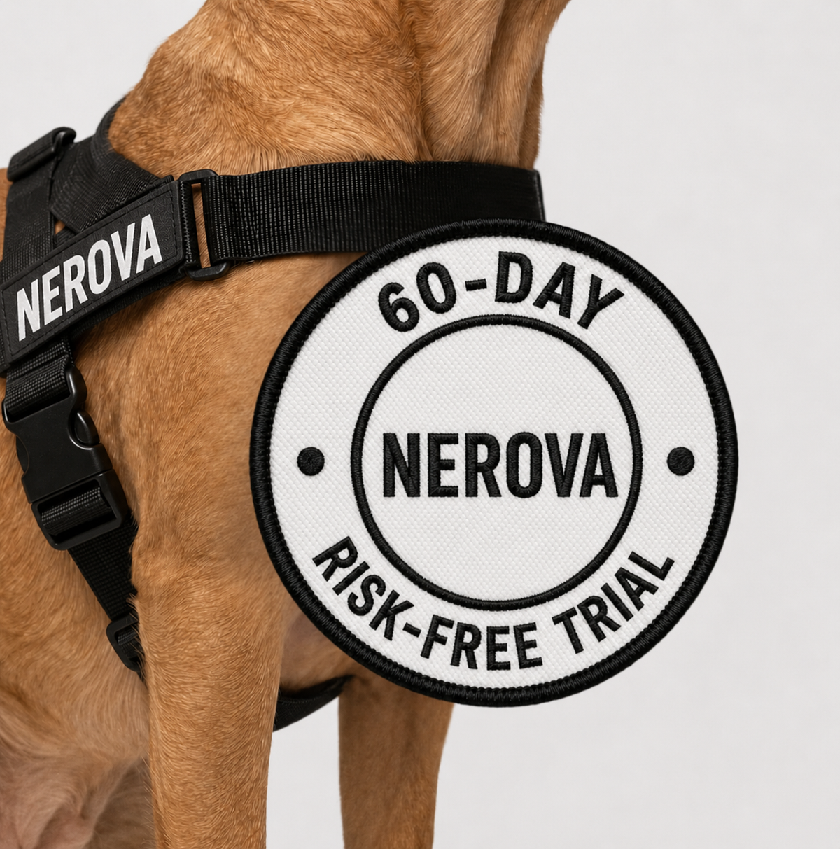 Nerova 60-day risk-free trial