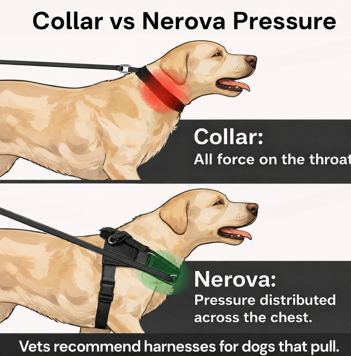 Collar vs Nerova pressure — pressure distributed across the chest