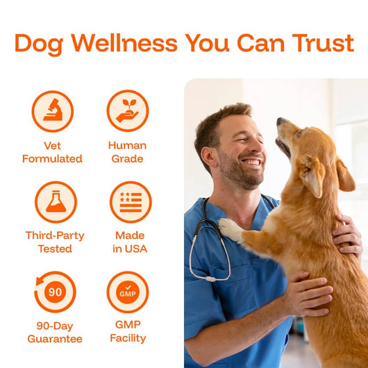 Dog wellness you can trust — vet formulated, third-party tested, made in USA