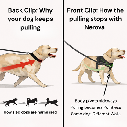 Back clip vs Nerova front clip — how the pulling stops